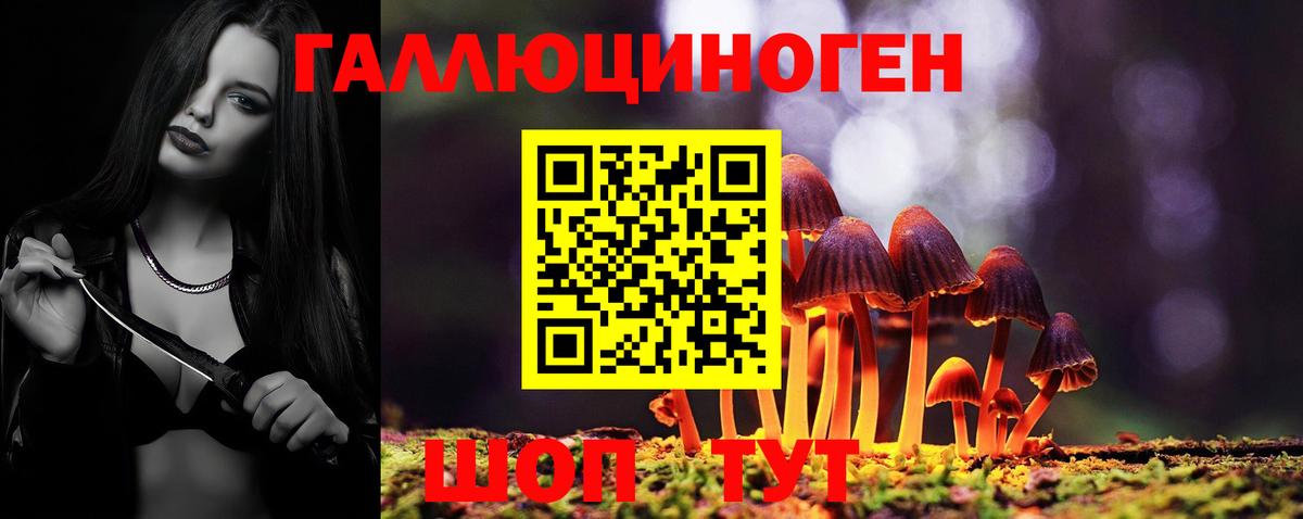 как найти закладки  Галлюциногенные грибы мухоморы  Галлюциногенные грибы MAGIC MUSHROOMS  Вход с VPN  Кострома 