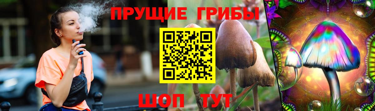 Галлюциногенные грибы MAGIC MUSHROOMS Кострома